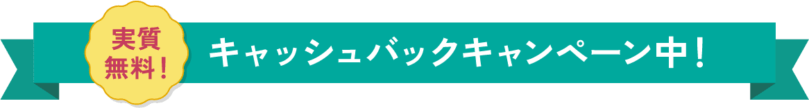 実質無料！キャッシュバックキャンペーン中！