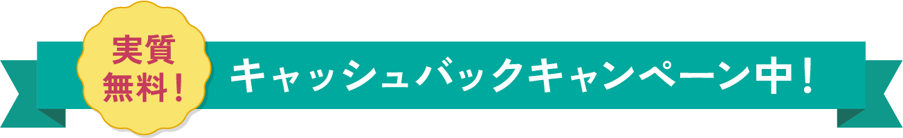 実質無料！キャッシュバックキャンペーン中！