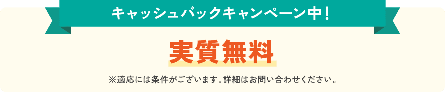 キャッシュバックキャンペーン中！実質無料 ※適応には条件がございます。詳細はお問い合わせください。